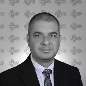 Afşın Alper Cerit